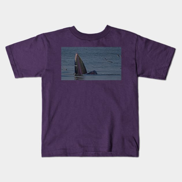 THE FIGHT FOR ANCHOVY Kids T-Shirt by dumbodancer